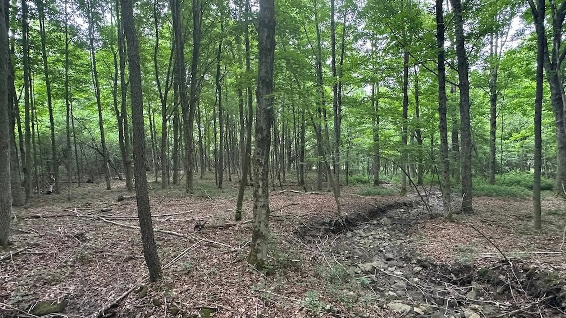Property at Flat Iron Road, Granger, NY 14846 7