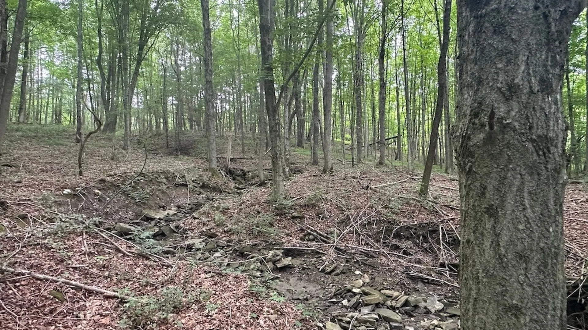 Property at Flat Iron Road, Granger, NY 14846 8
