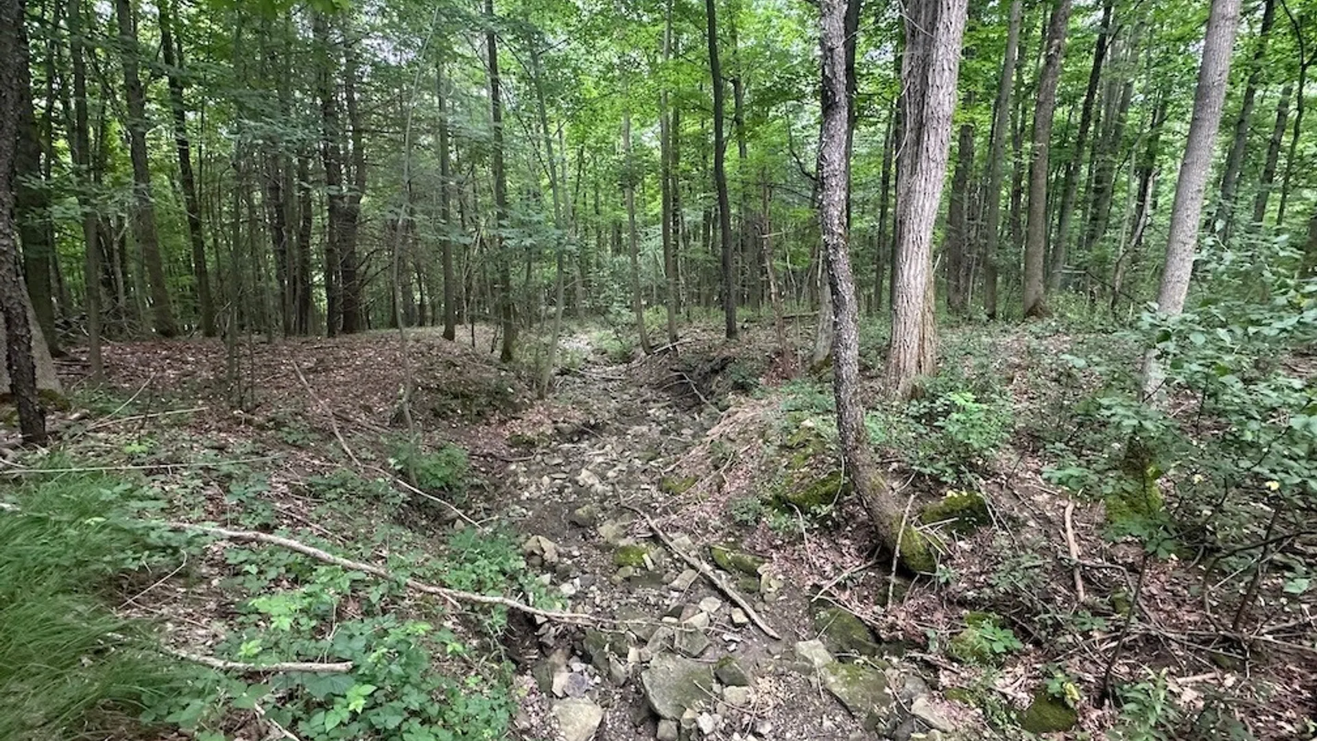 Property at Flat Iron Road, Granger, NY 14846 11