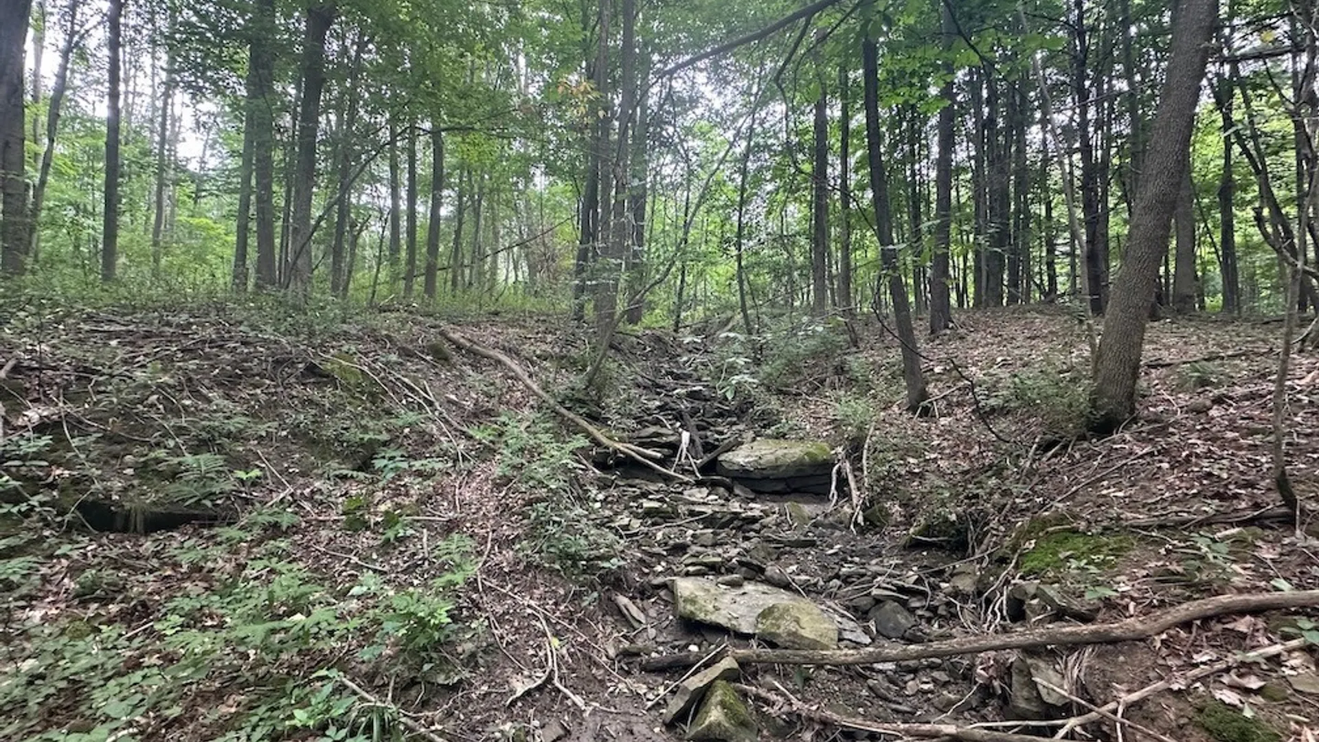 Property at Flat Iron Road, Granger, NY 14846 13