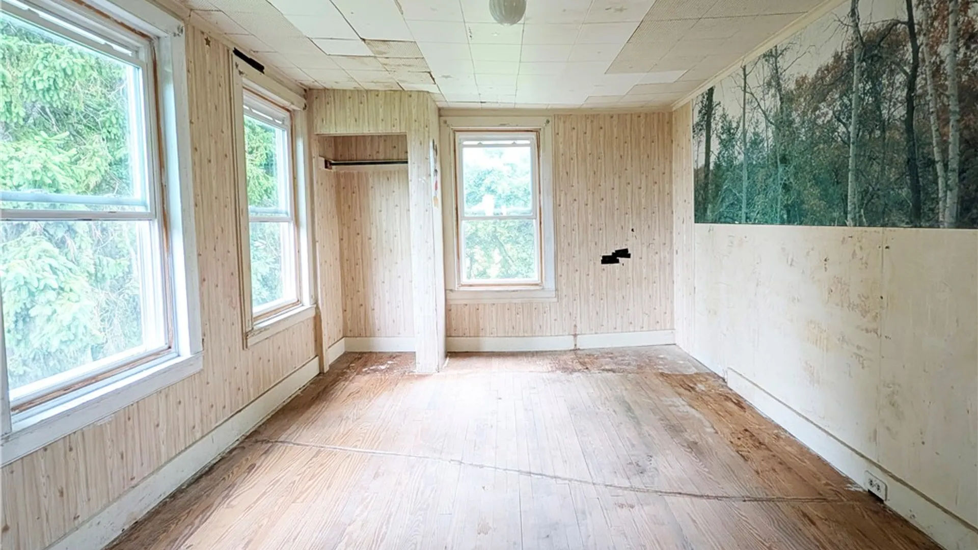 Property at 163 Davis Road, Lansing, NY 14882 26