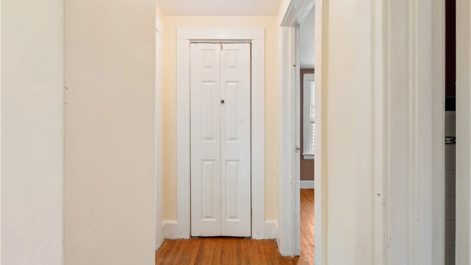 Property at 225 West Chestnut Street, East Rochester, NY 14445 30