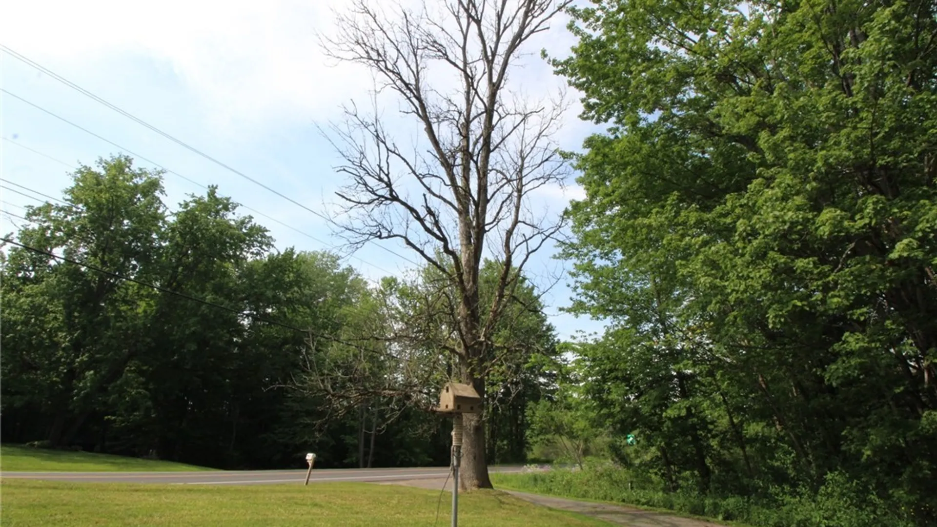 Property at 376 County Route 22, Parish, NY 13131 8