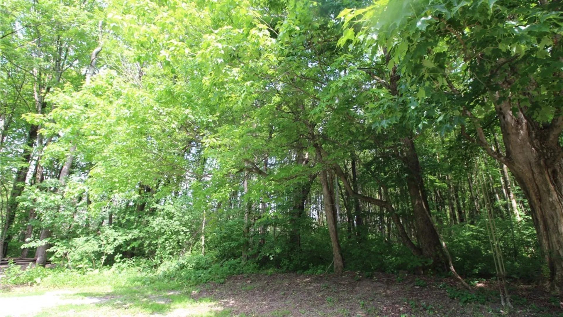 Property at 376 County Route 22, Parish, NY 13131 9