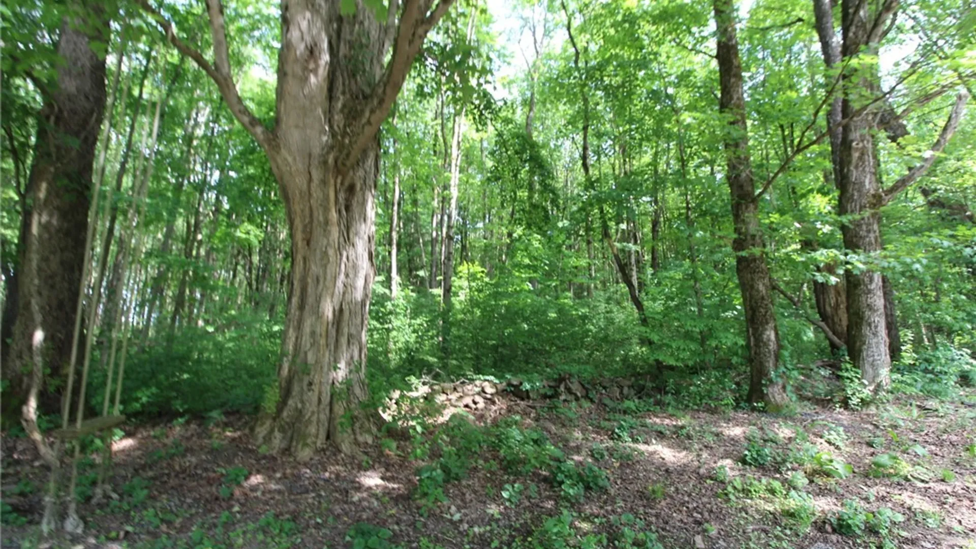 Property at 376 County Route 22, Parish, NY 13131 11