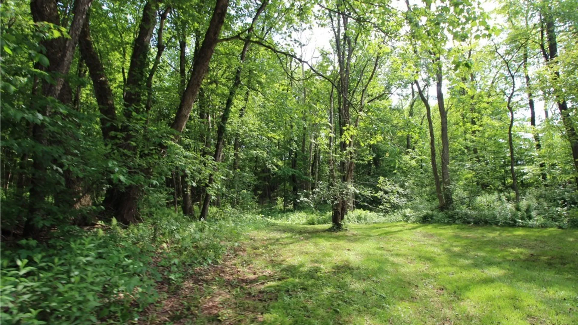 Property at 376 County Route 22, Parish, NY 13131 12