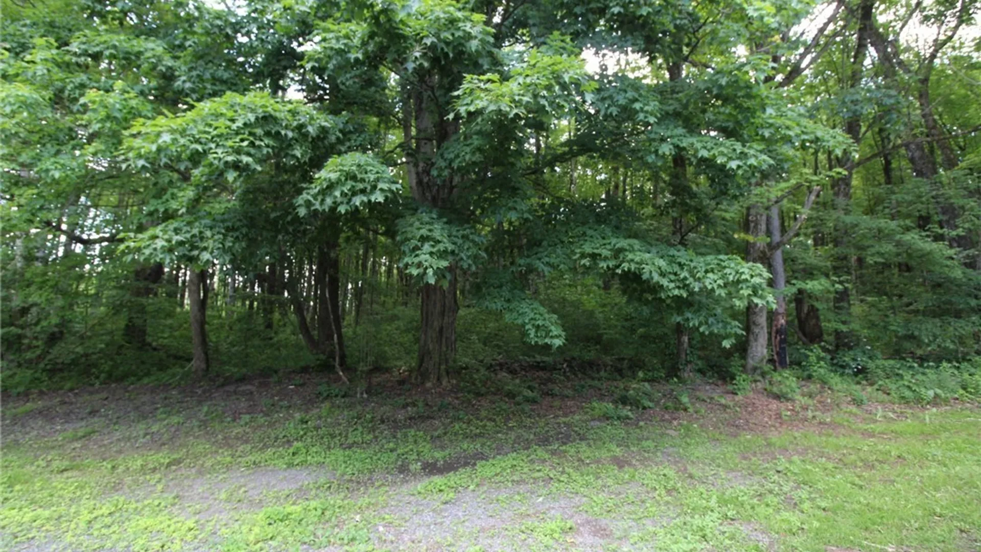 Property at 376 County Route 22, Parish, NY 13131 13