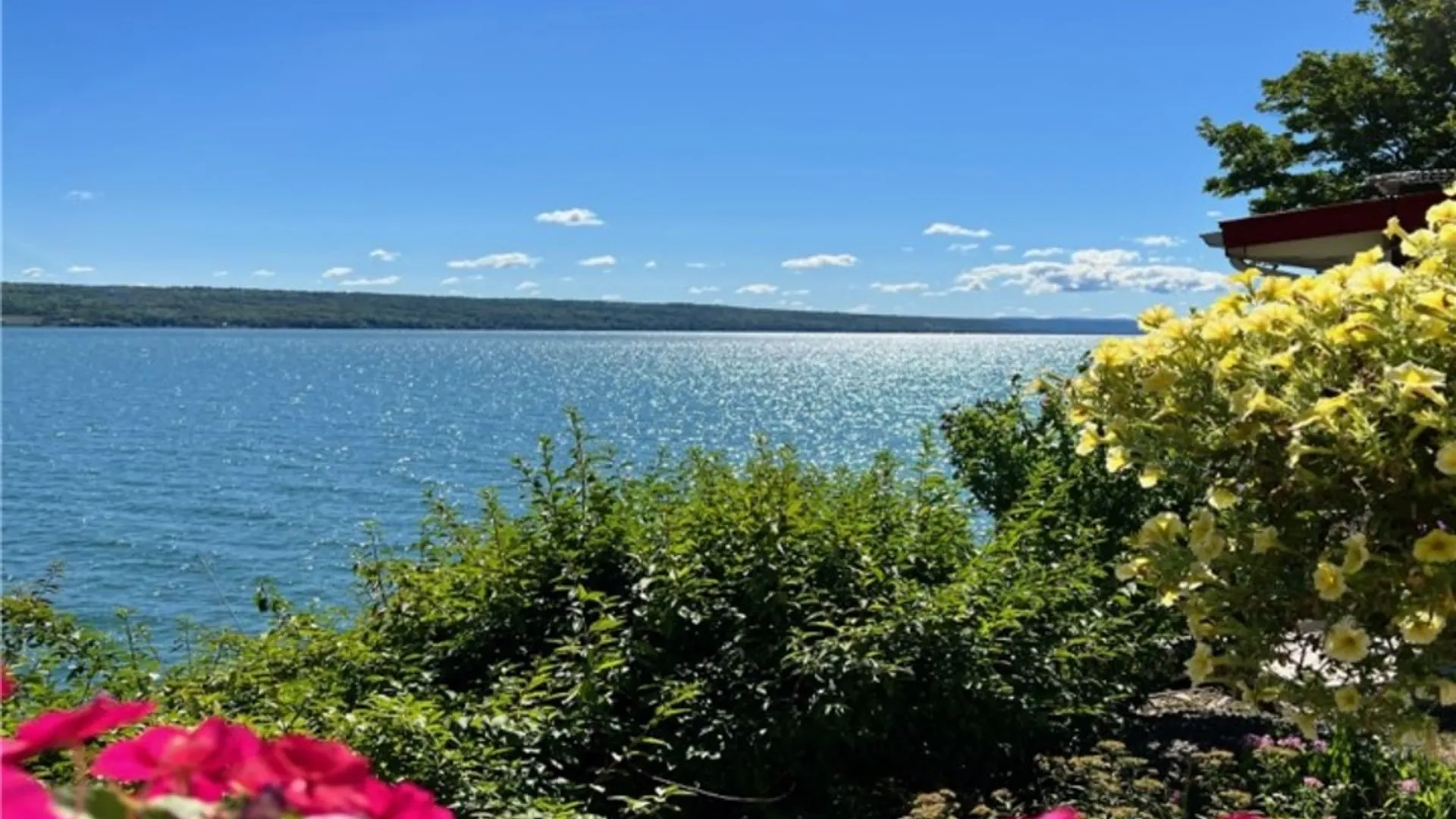 Property at 8805 Rocky Dock Rd, Covert, NY 14847 3