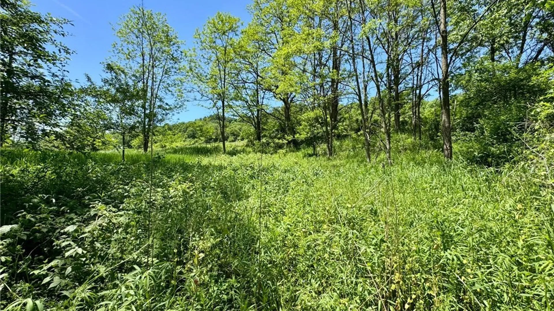 Property at Route 26, Taylor, NY 13040 3