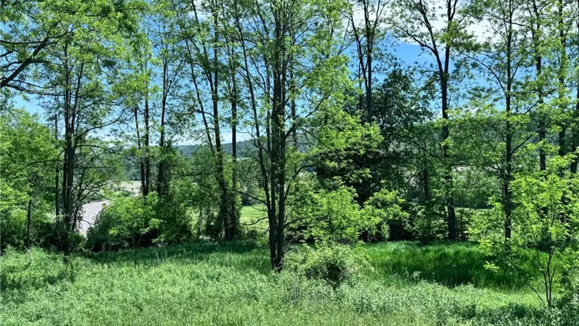 Property at Route 26, Taylor, NY 13040 7