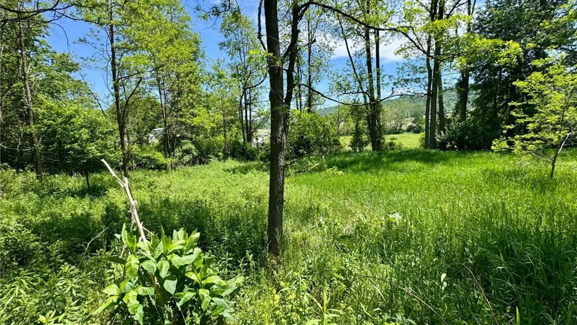Property at Route 26, Taylor, NY 13040 8