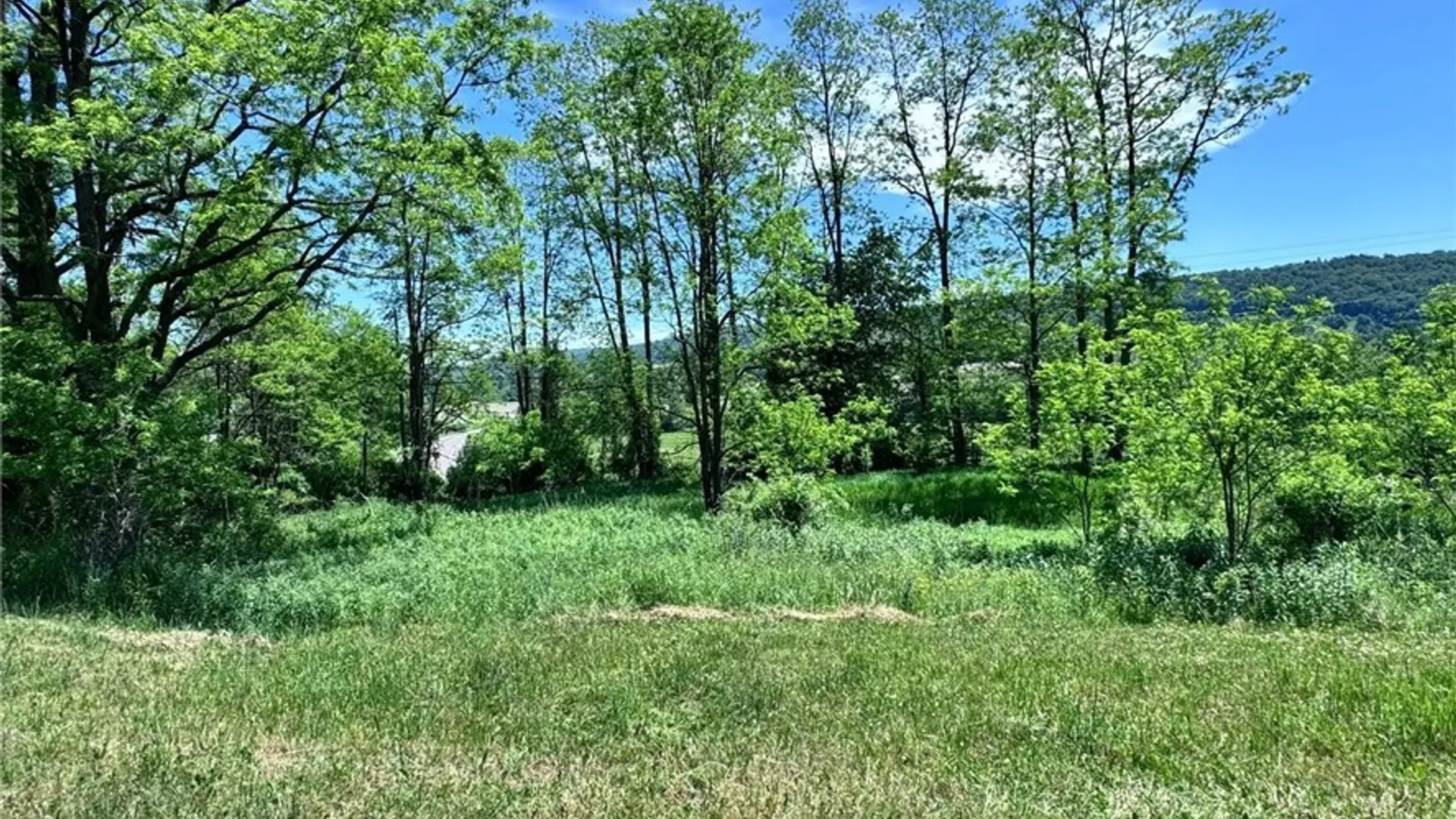 Property at Route 26, Taylor, NY 13040 9