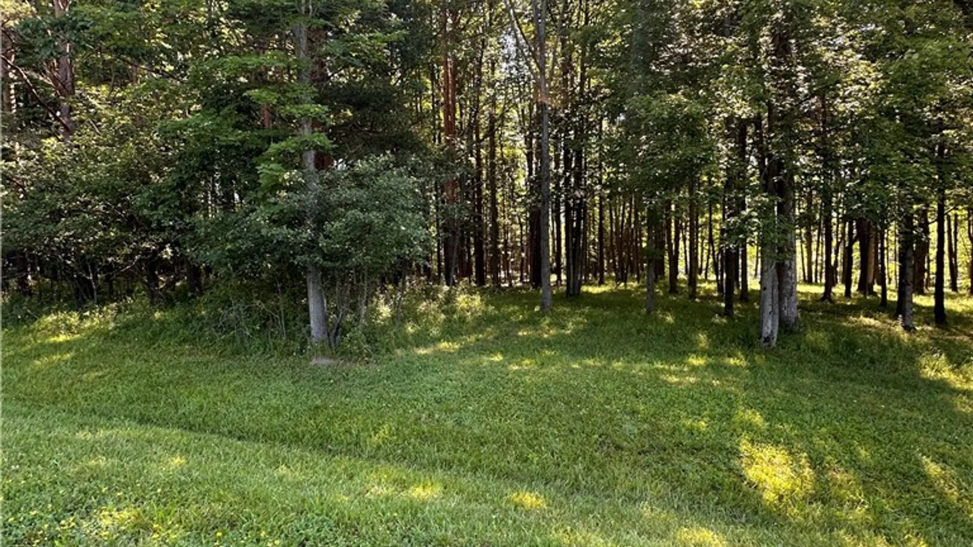 Property at 8306 8, Rushford, NY 14777 27