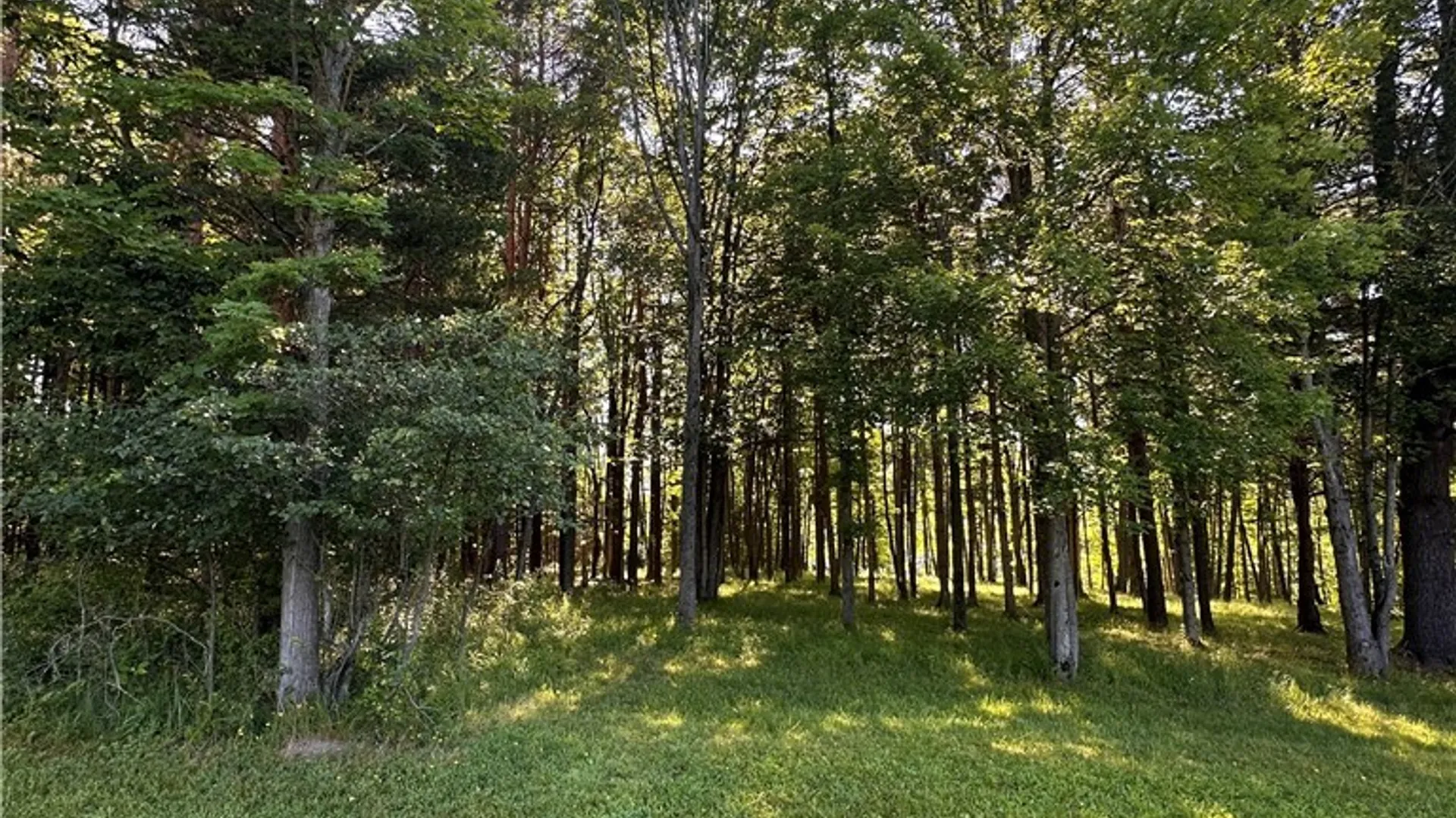 Property at 8306 8, Rushford, NY 14777 28