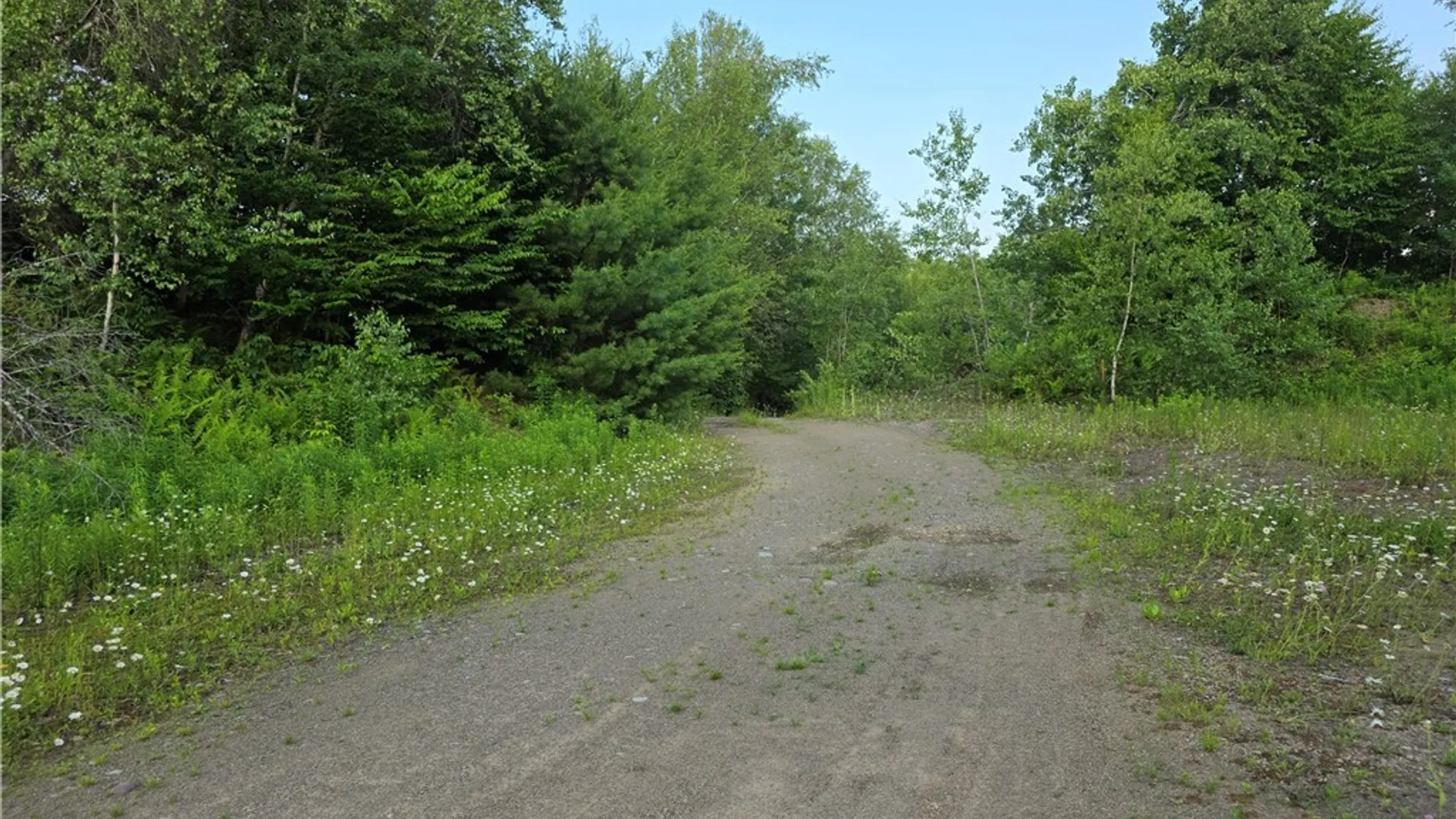 Property at 0 Osceola Road, Lewis, NY 13489 2