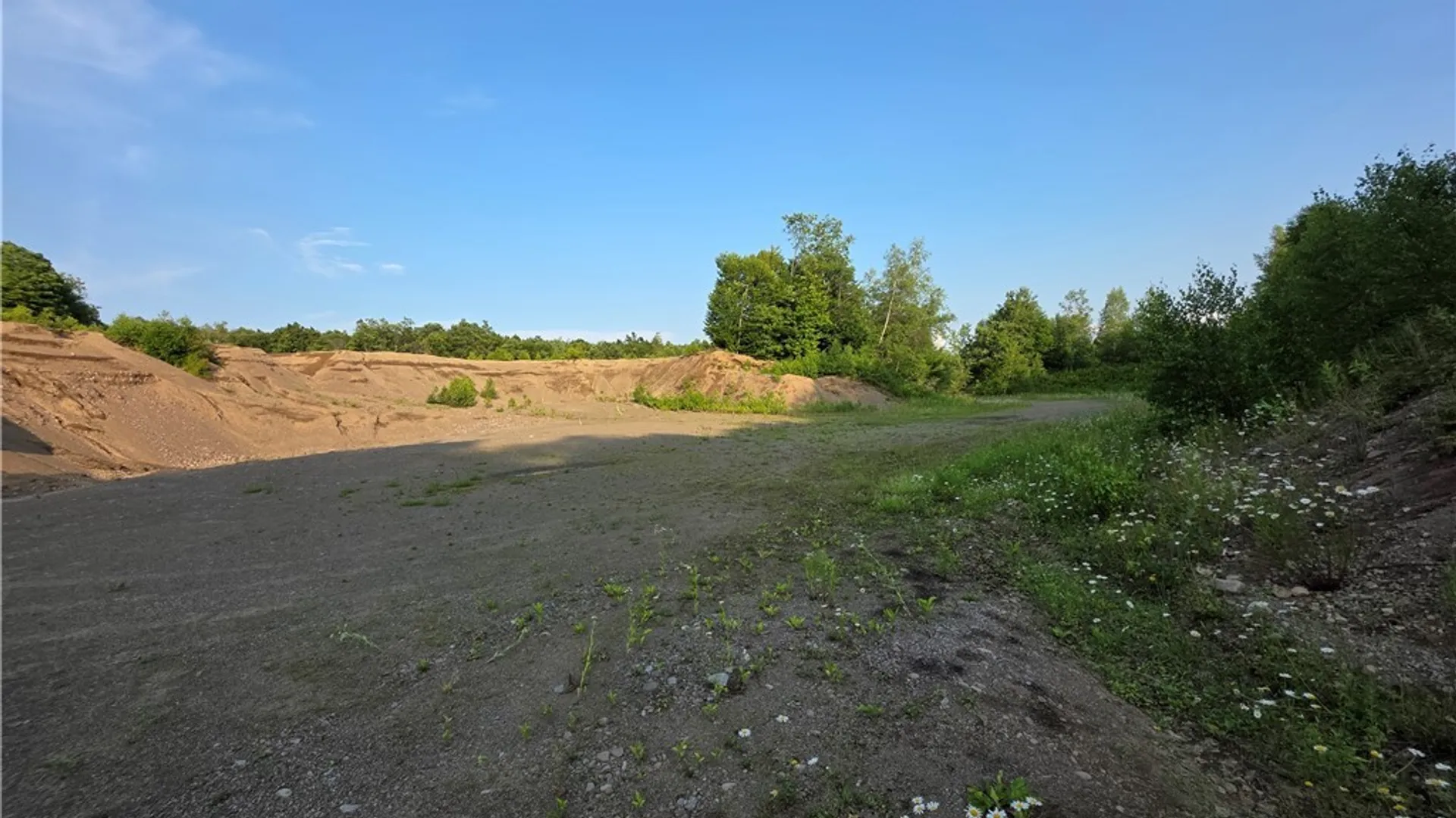 Property at 0 Osceola Road, Lewis, NY 13489 13