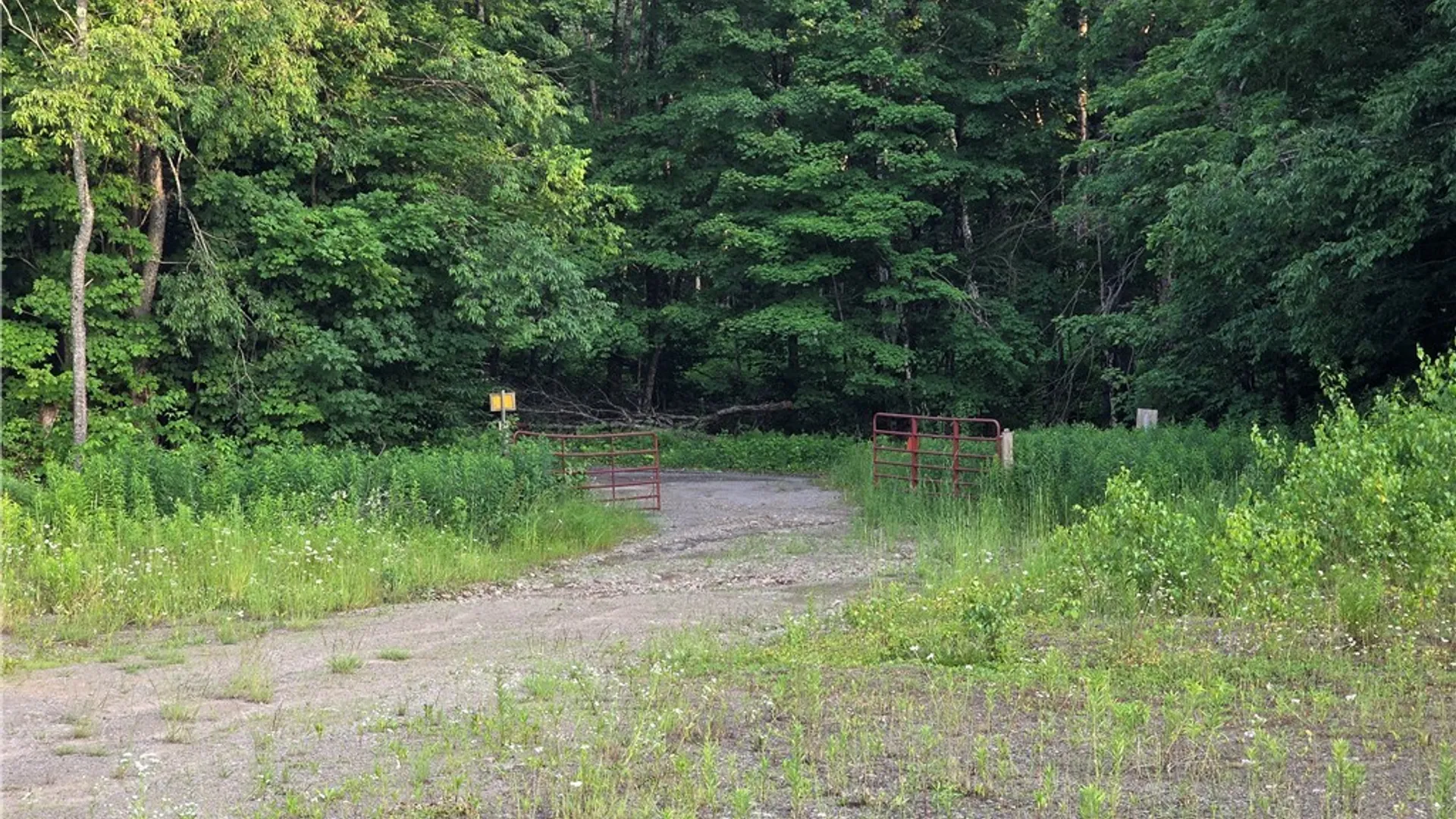 Property at 0 Osceola Road, Lewis, NY 13489 4