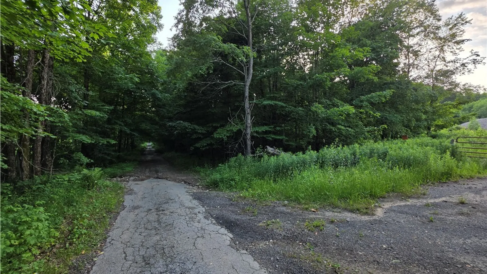 Property at 0 Osceola Road, Lewis, NY 13489 3