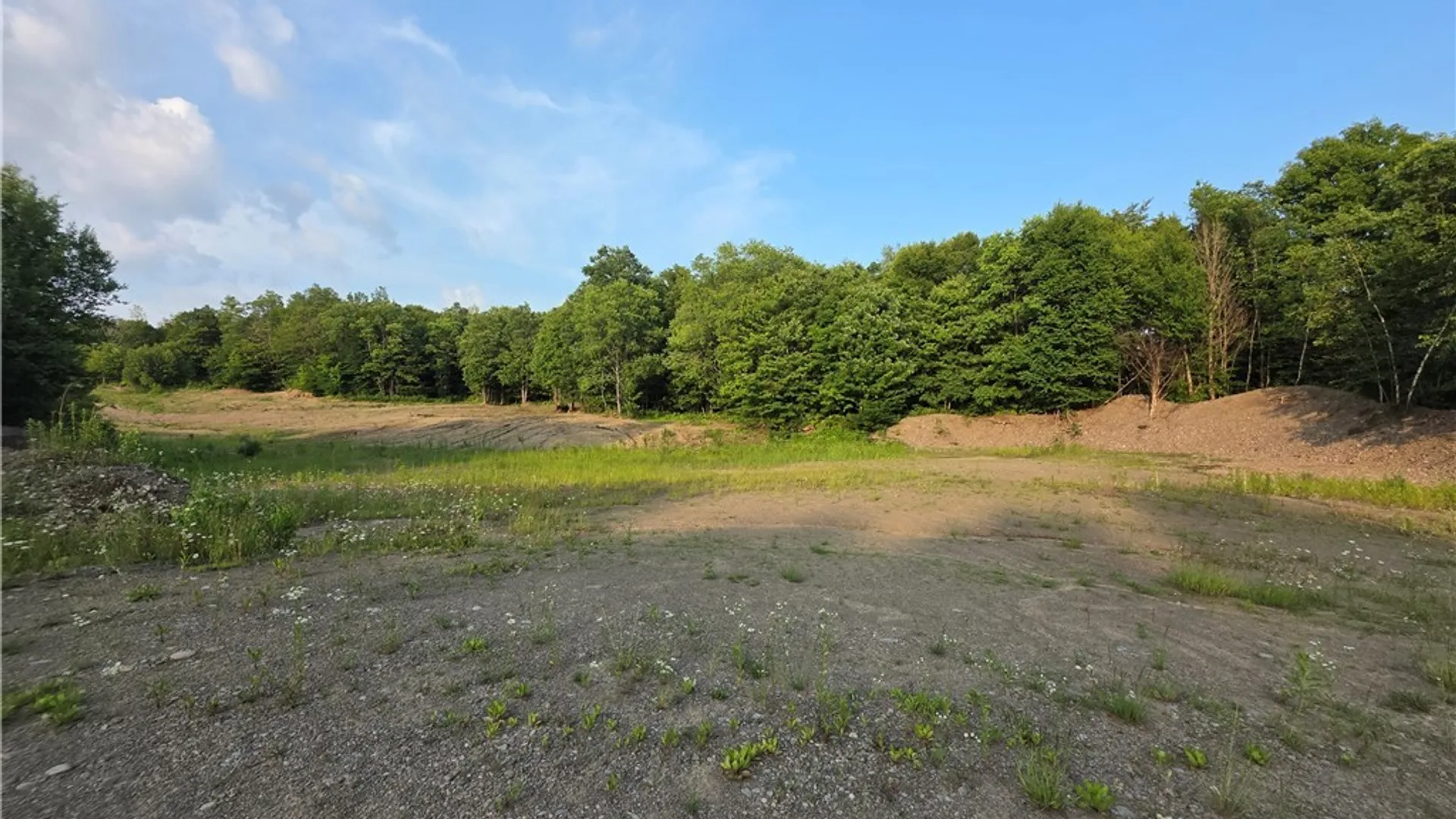 Property at 0 Osceola Road, Lewis, NY 13489 7