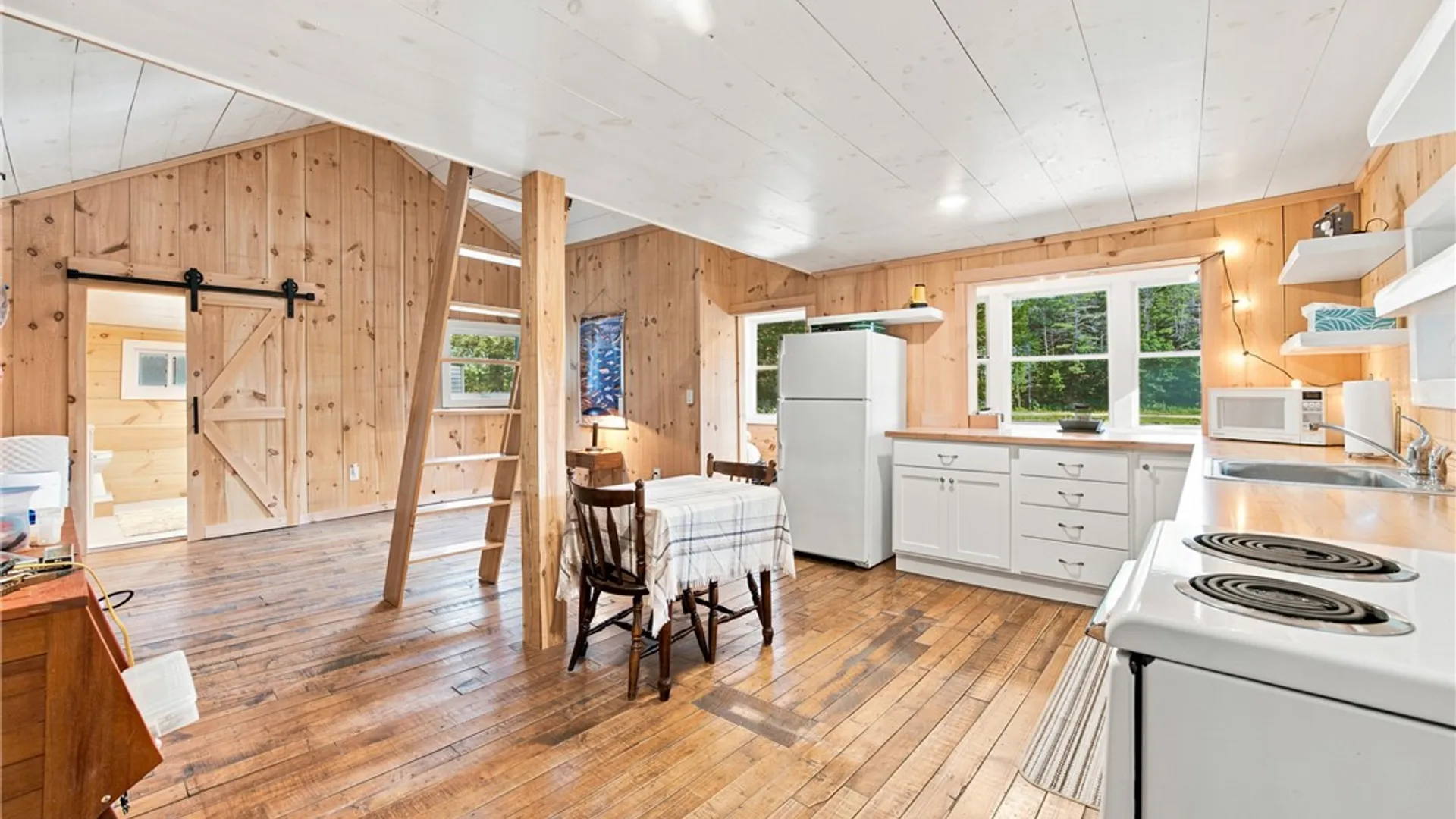 Property at 3819 S Goodhue Lake Road, Addison, NY 14801 10