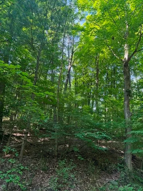 Property at 0 South Glenora Road, Starkey, NY 14837