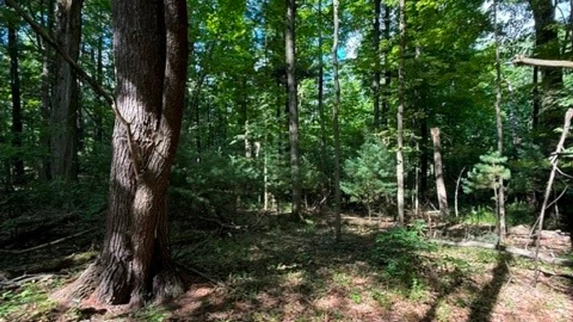 Property at 0 South Glenora Road, Starkey, NY 14837 13