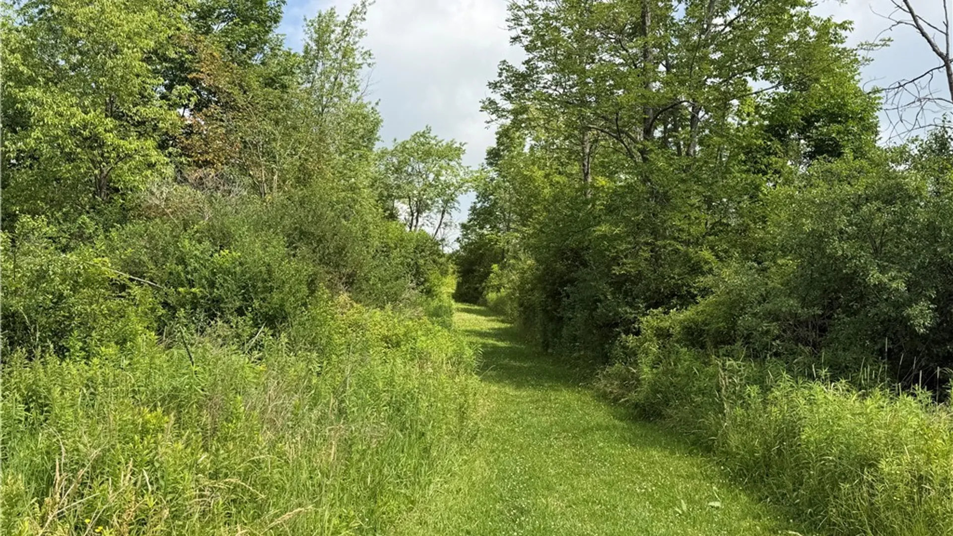 Property at 2751 Canfield Road, Fremont, NY 14826 7
