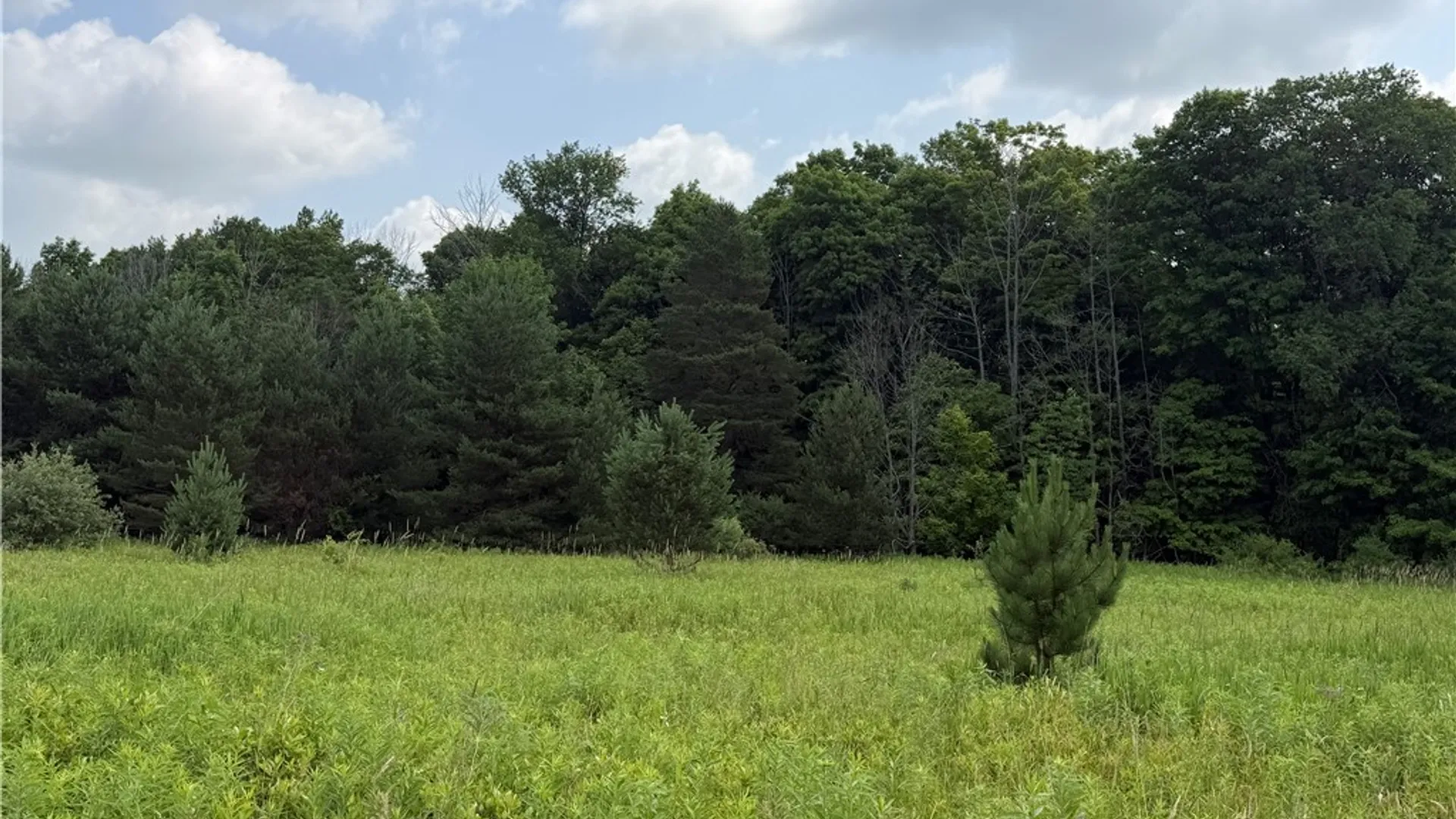 Property at 2751 Canfield Road, Fremont, NY 14826 8