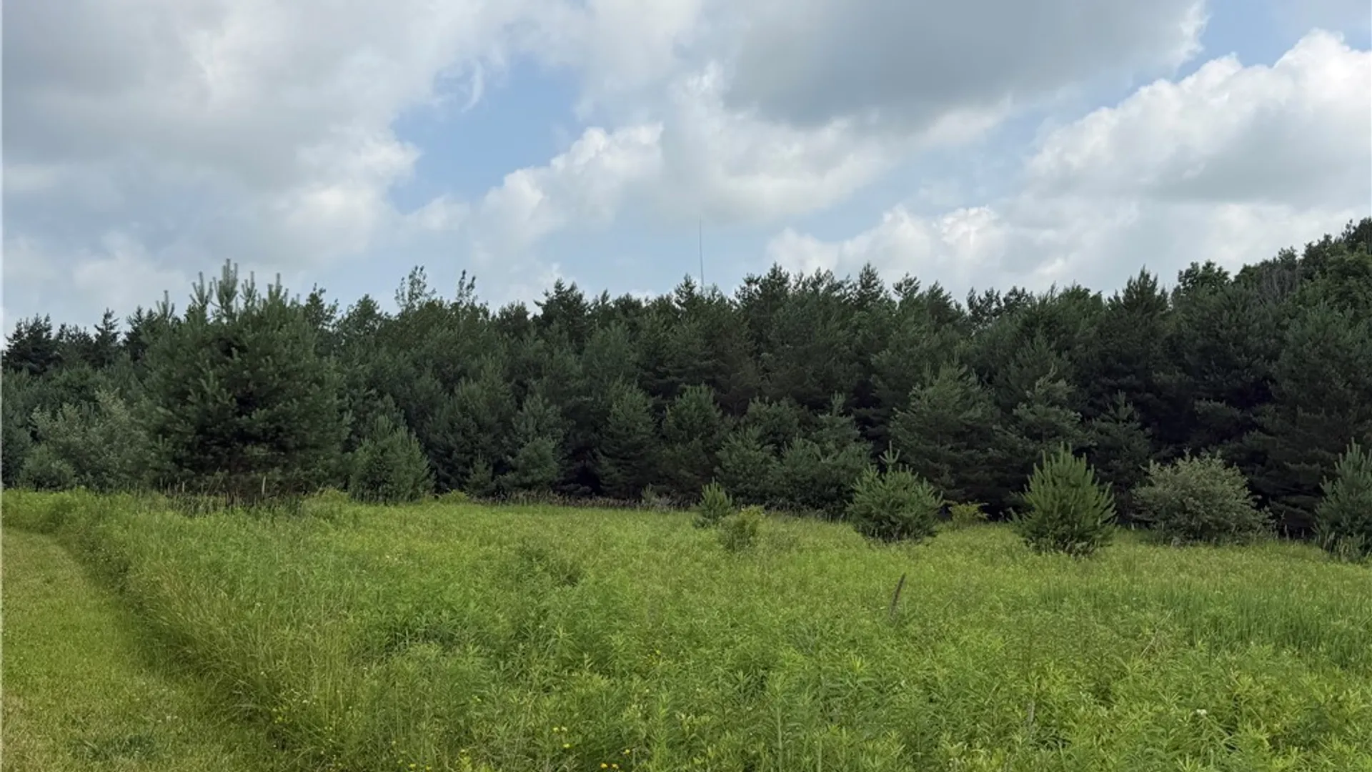 Property at 2751 Canfield Road, Fremont, NY 14826 9