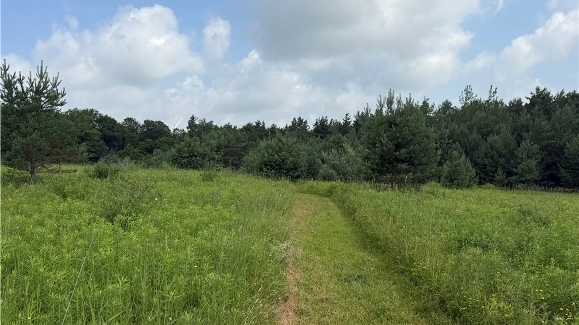 Property at 2751 Canfield Road, Fremont, NY 14826 10