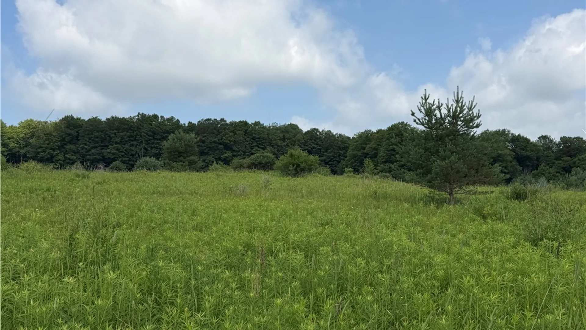 Property at 2751 Canfield Road, Fremont, NY 14826 11