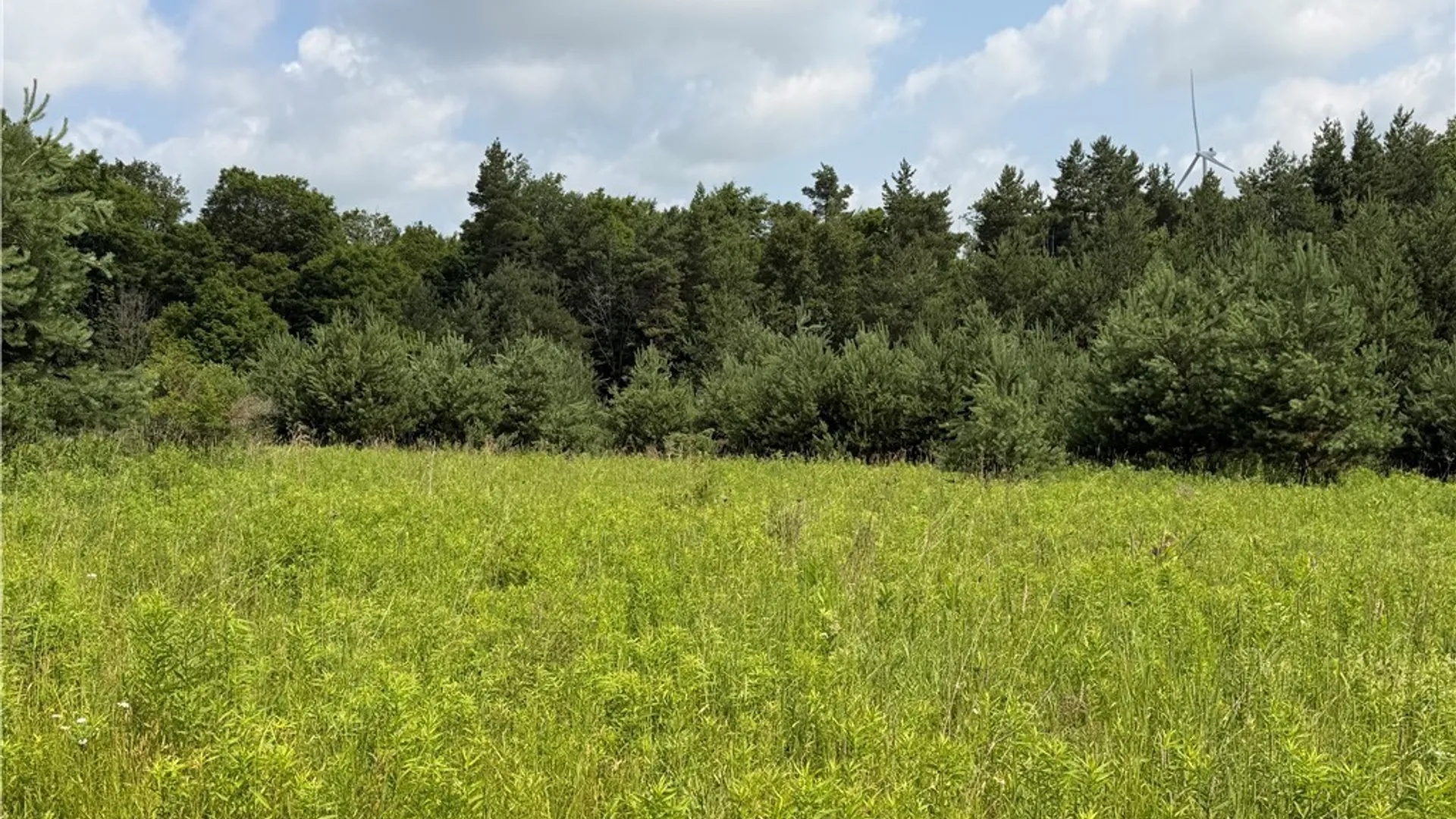 Property at 2751 Canfield Road, Fremont, NY 14826 12