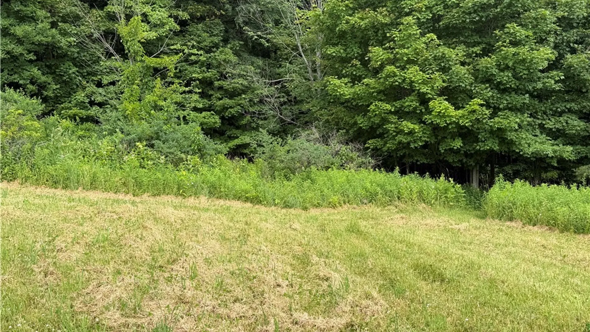 Property at 2751 Canfield Road, Fremont, NY 14826 15