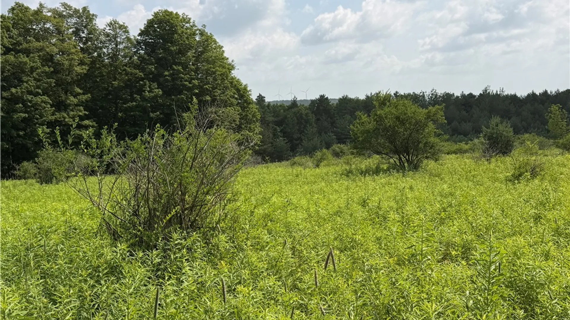 Property at 2751 Canfield Road, Fremont, NY 14826 17