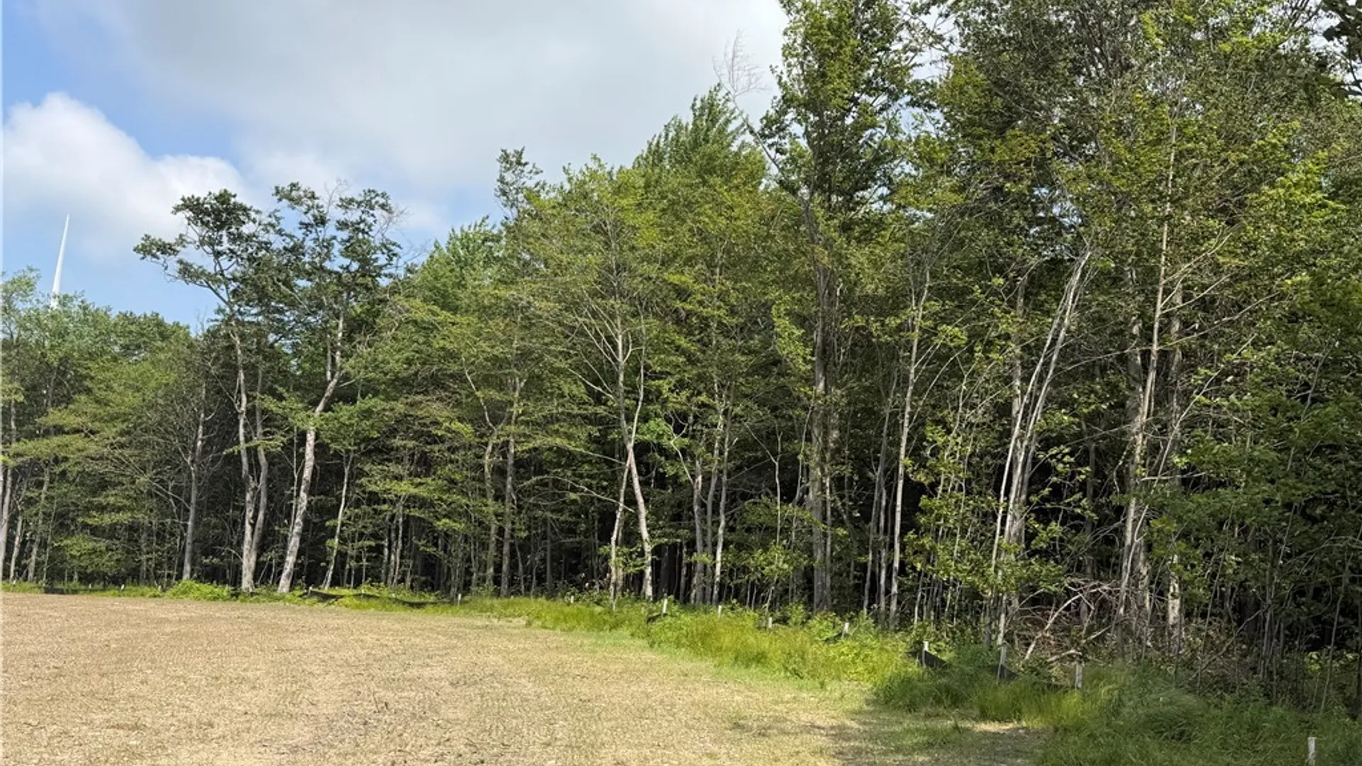 Property at 2751 Canfield Road, Fremont, NY 14826 22
