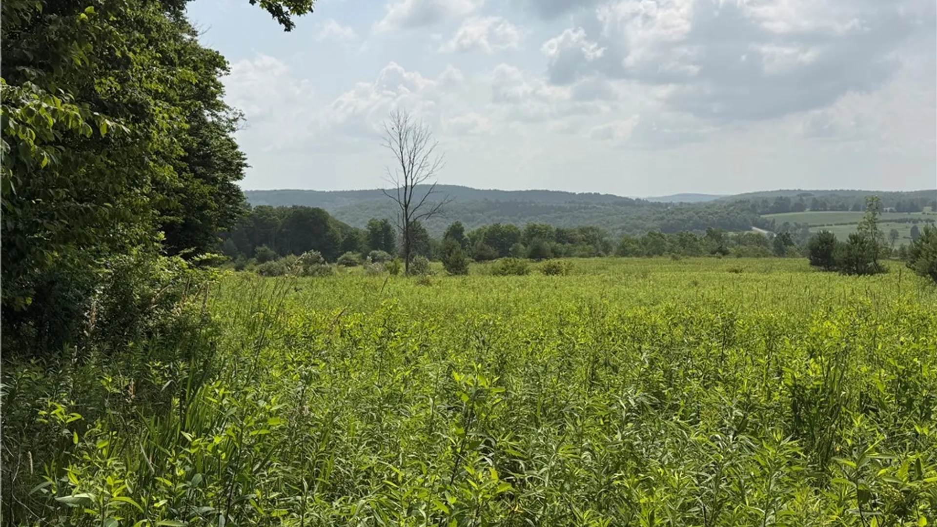Property at 2751 Canfield Road, Fremont, NY 14826 27
