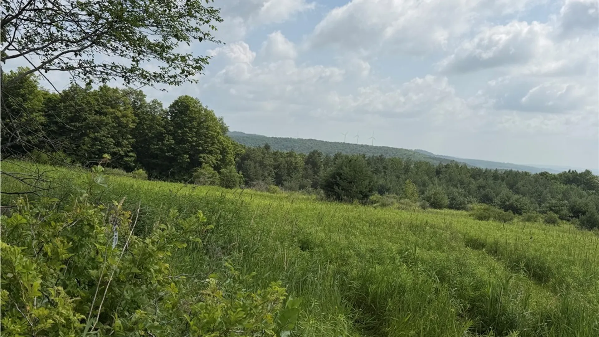 Property at 2751 Canfield Road, Fremont, NY 14826 29