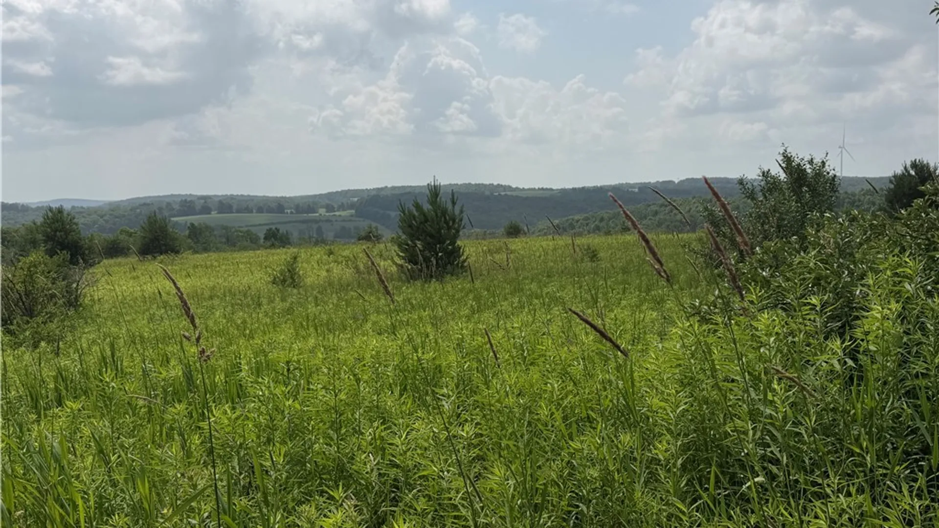 Property at 2751 Canfield Road, Fremont, NY 14826 31