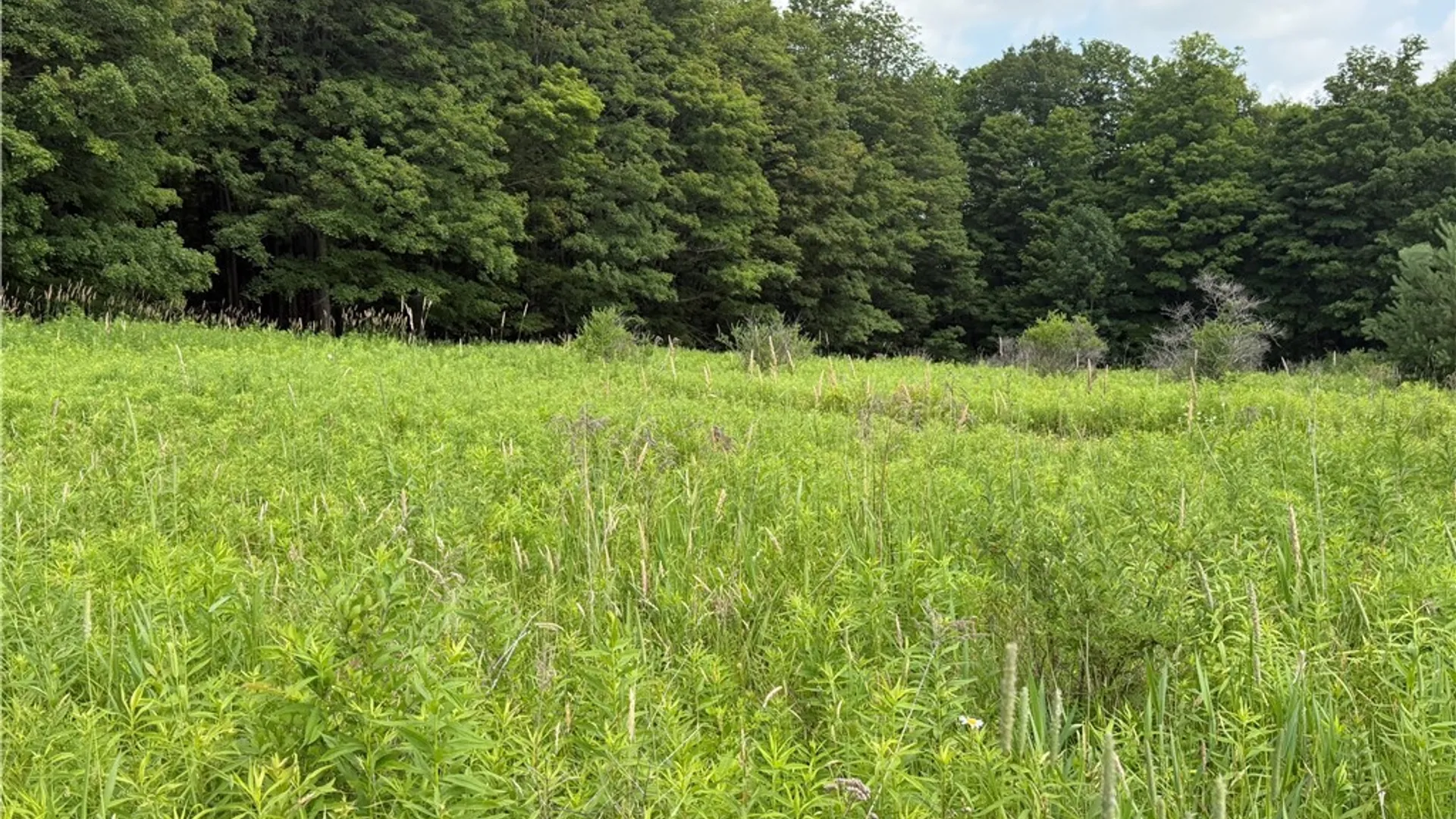 Property at 2751 Canfield Road, Fremont, NY 14826 32