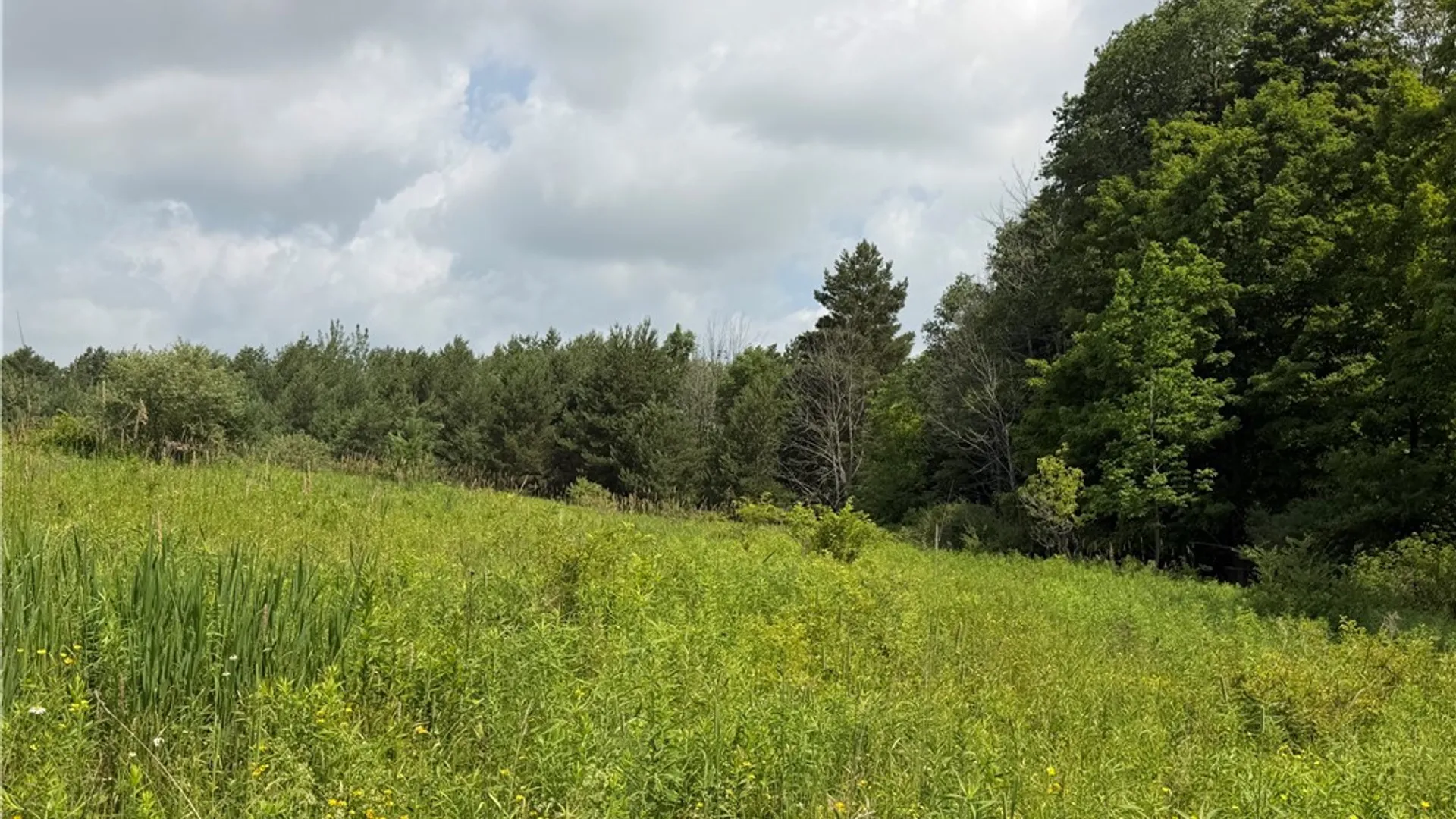 Property at 2751 Canfield Road, Fremont, NY 14826 33