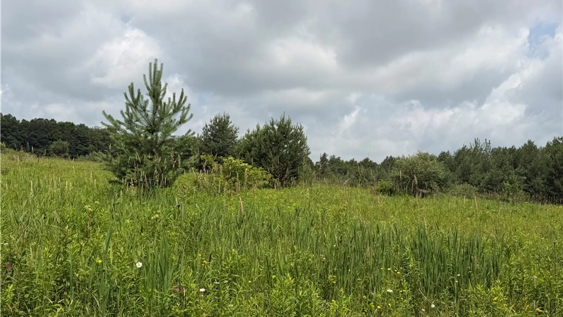 Property at 2751 Canfield Road, Fremont, NY 14826 34