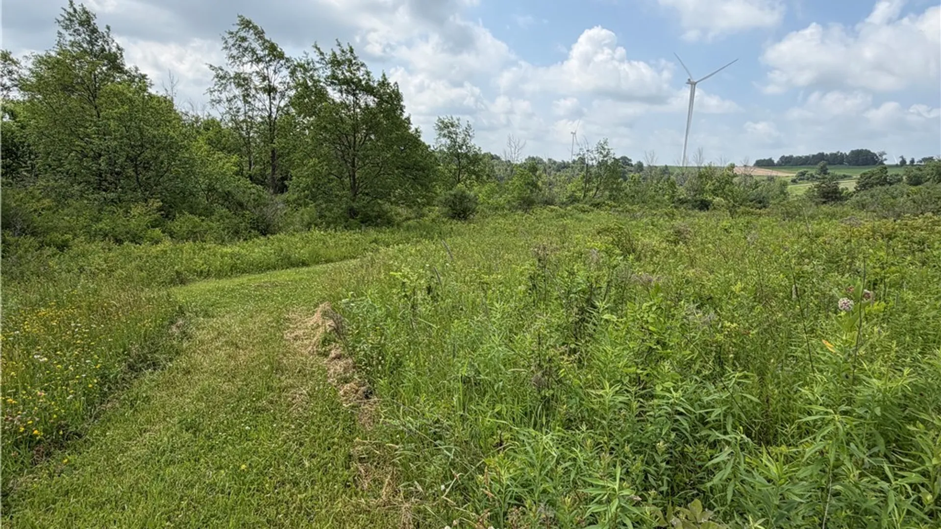 Property at 2751 Canfield Road, Fremont, NY 14826 37