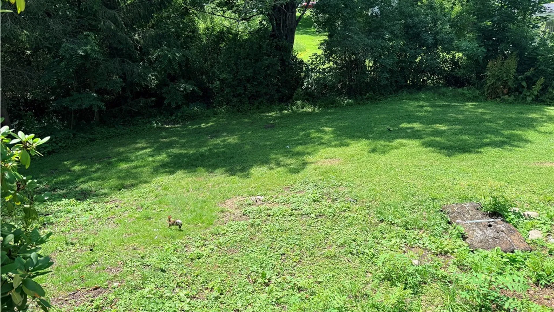 Property at 53 Cayuga Street, Homer, NY 13077 19