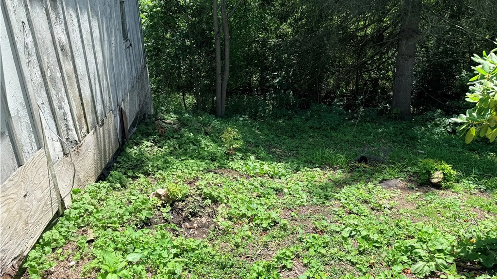 Property at 53 Cayuga Street, Homer, NY 13077 20