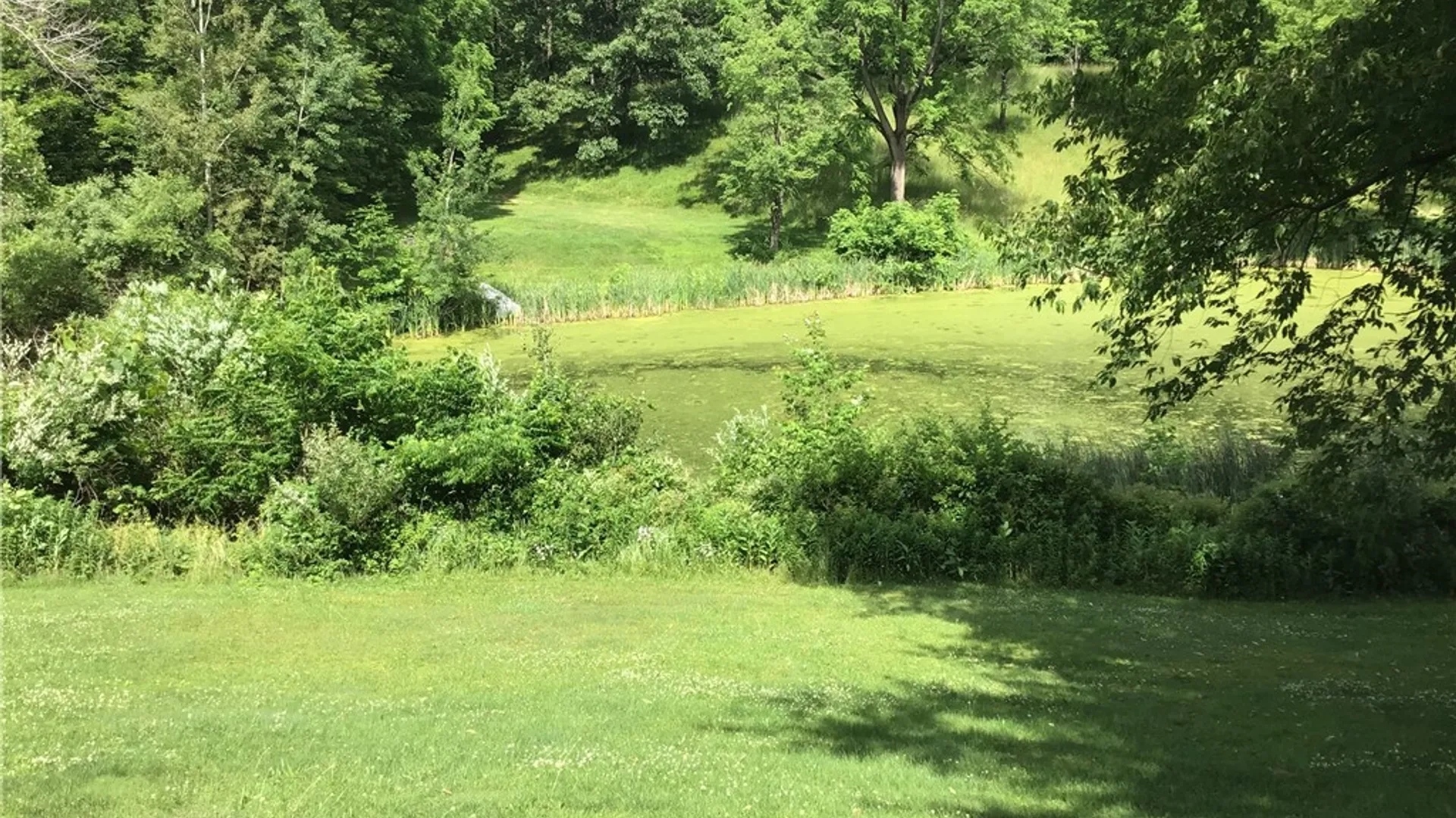 Property at 10695 Sandy Hill Road, Dansville, NY 14437 11