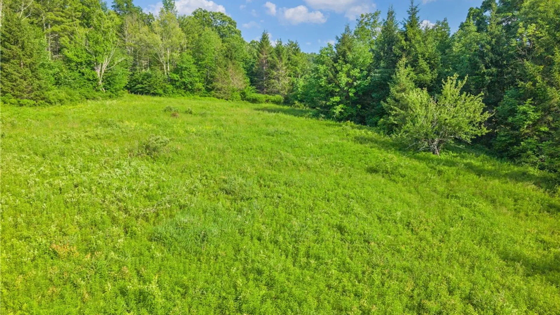 Property at Guinea Road, Fulton, NY 12122 6