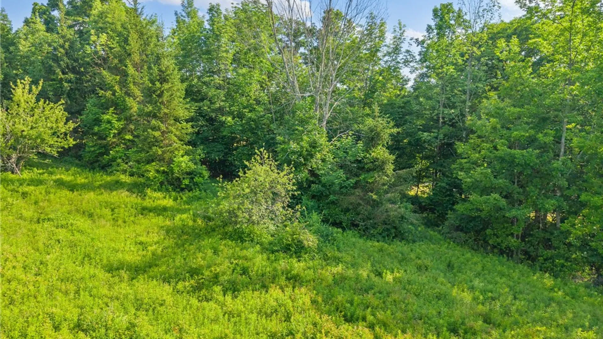 Property at Guinea Road, Fulton, NY 12122 7