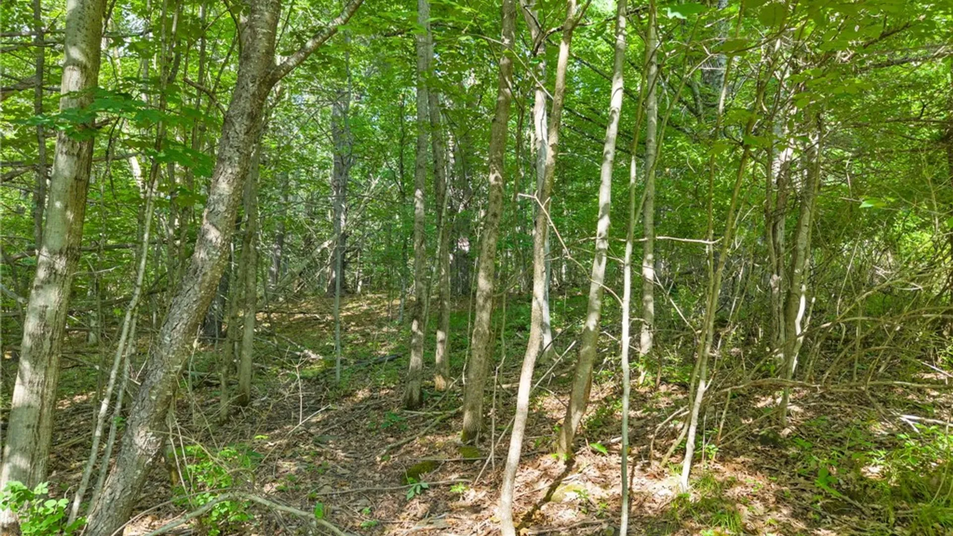 Property at Guinea Road, Fulton, NY 12122 8