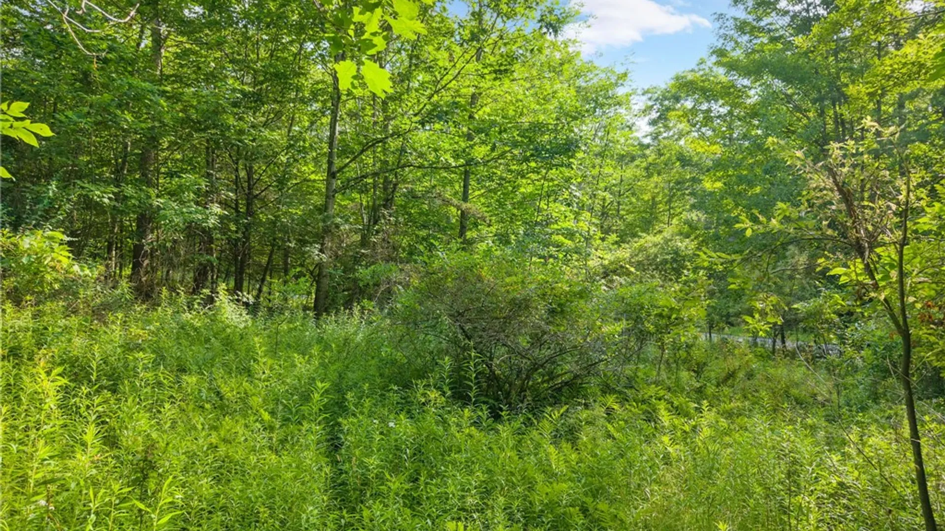 Property at Guinea Road, Fulton, NY 12122 9