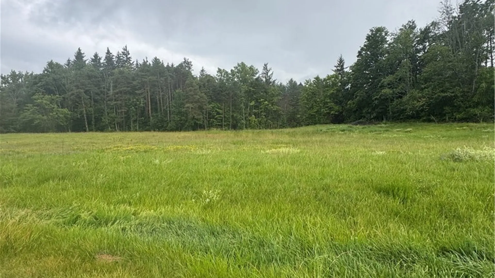 Property at 2630 Attica Road, Alexander, NY 14005 3
